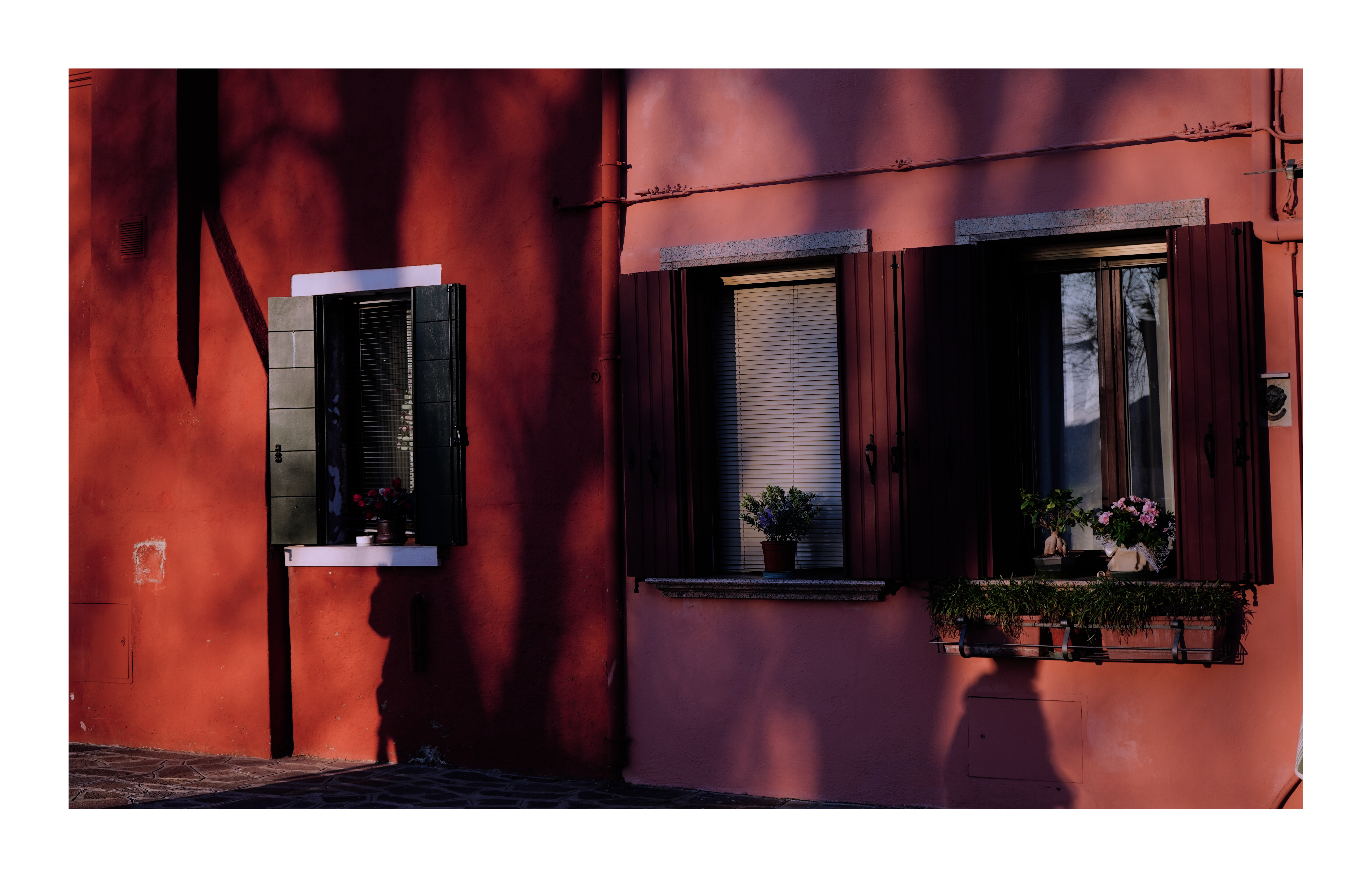 Colors